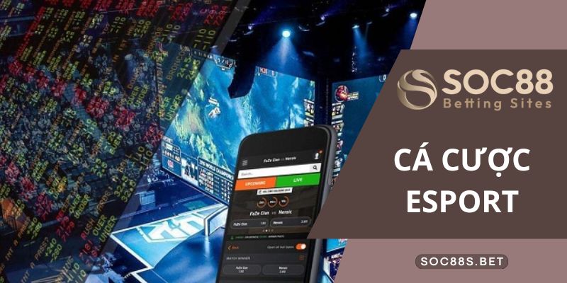 Cá Cược Esport Cùng SOC88 - Cẩm Nang Những Điều Tân Thủ Cần Biết
