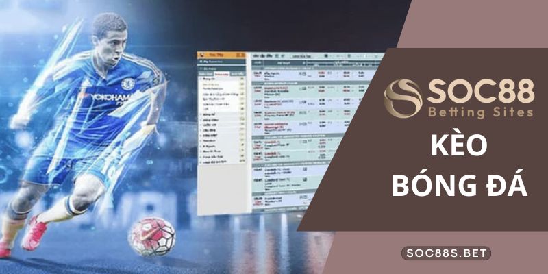 Tìm hiểu vài nét tổng quan về tỉ số nhà cái