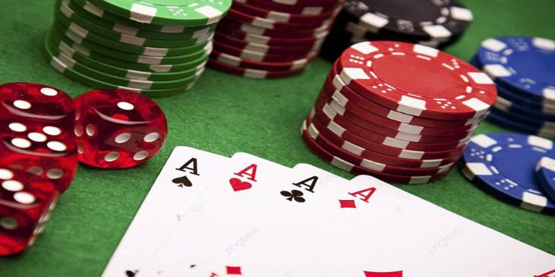 Một vài thông tin chung về PQ88